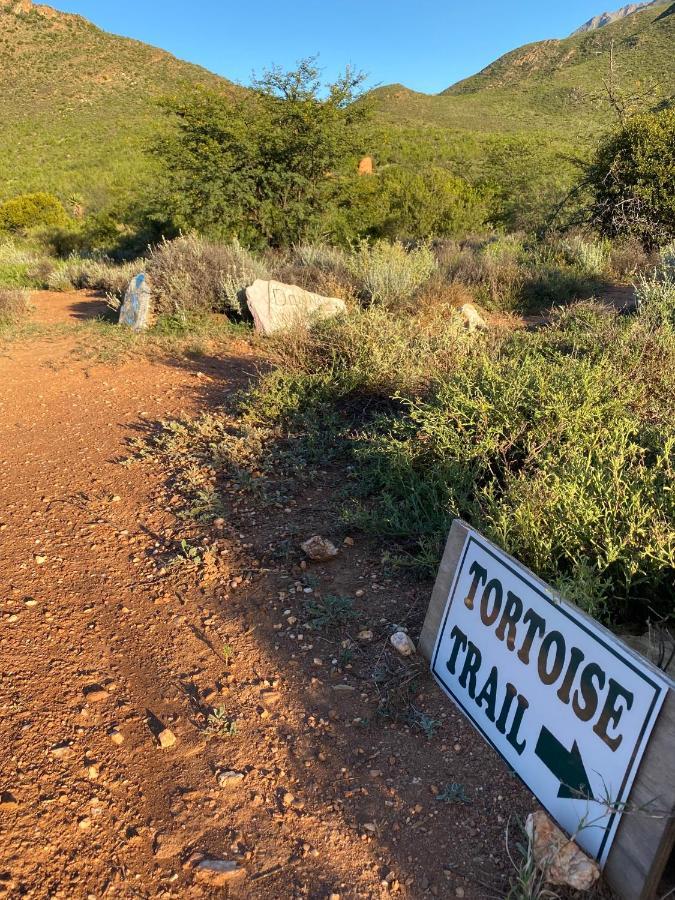The Retreat At Groenfontein Calitzdorp Exterior photo